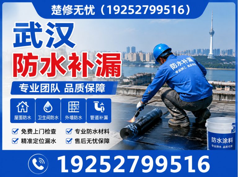 江岸区渗漏检测展示图